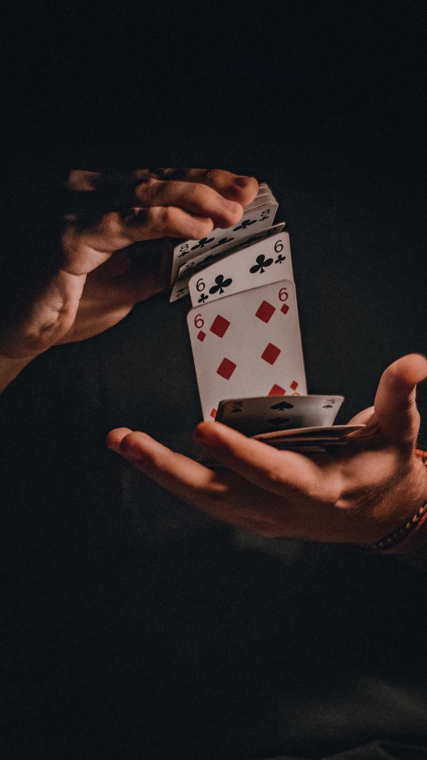 7bit casino